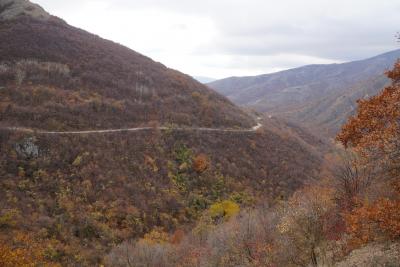 Прикрепленное изображение: A58DSC09843.JPG